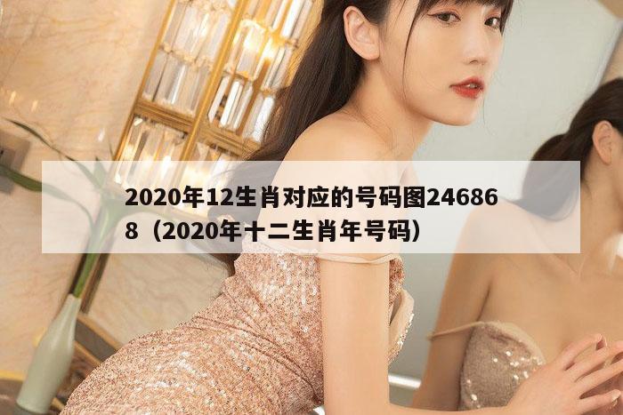 2020年12生肖对应的号码图246868（2020年十二生肖年号码）