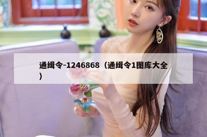 通缉令-1246868（通缉令1图库大全）